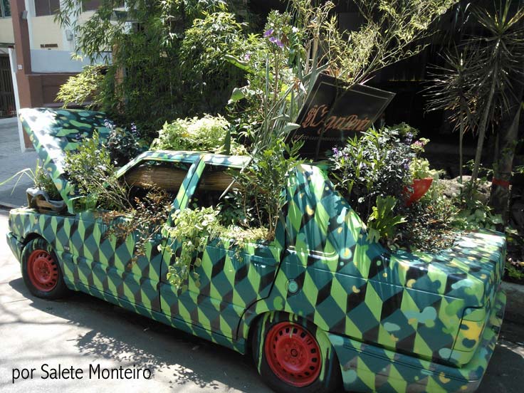 Horta urbana feita dentro de um carro abandonado em Perdizes